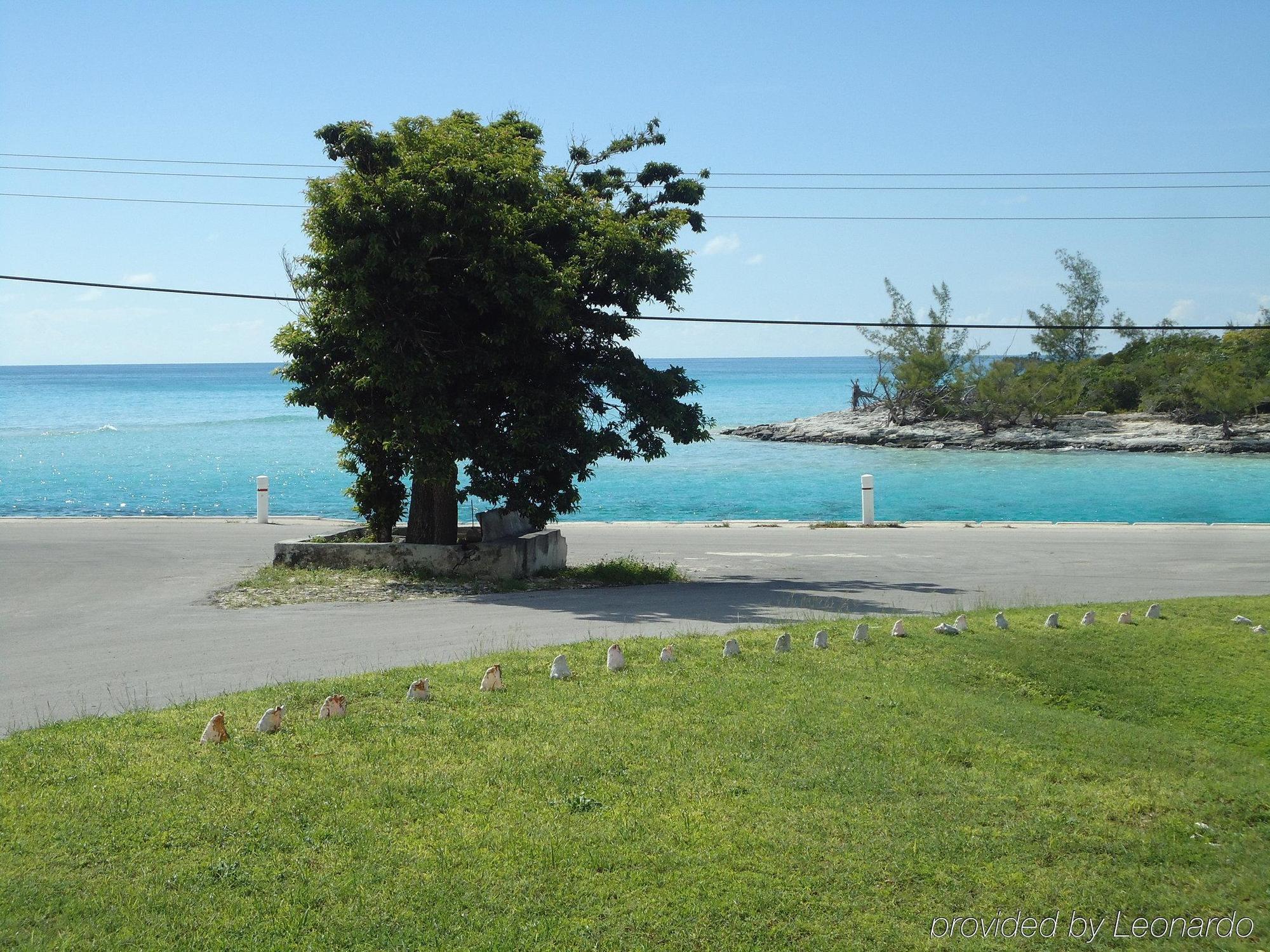 Orange Creek Inn Bagian luar foto